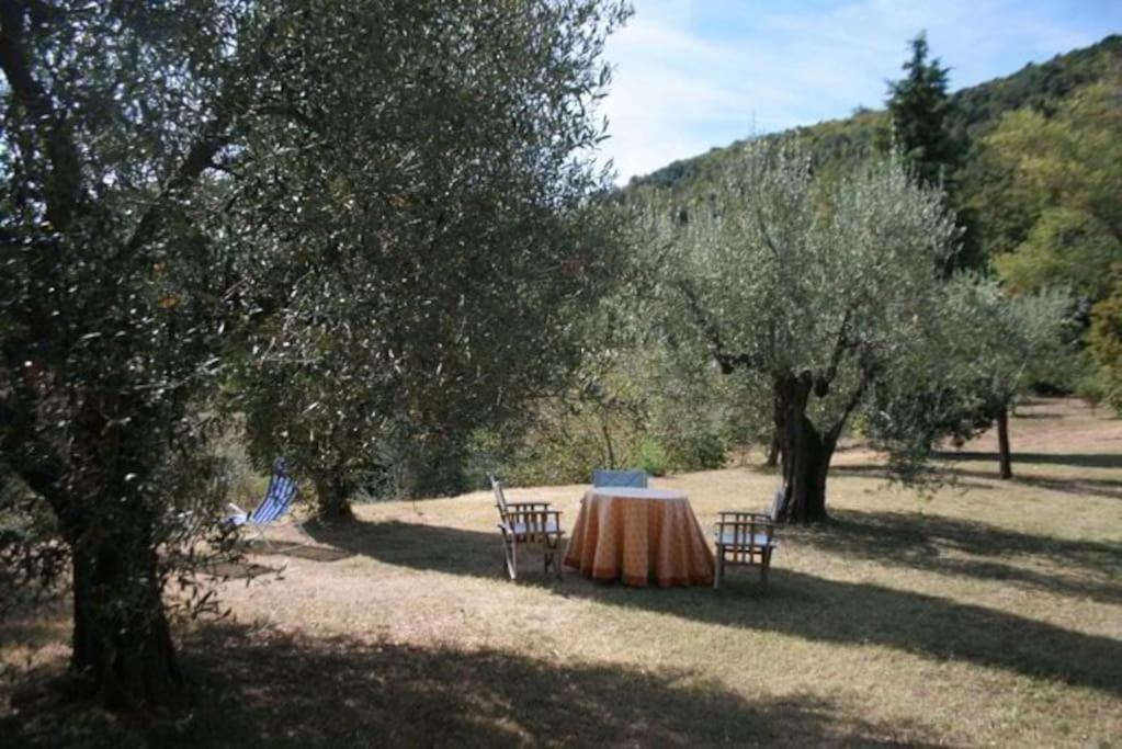 Podere Gli Oppi Toscana Villa Petroio Eksteriør bilde